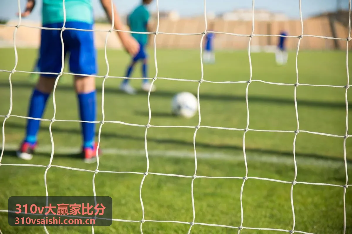 310v大赢家比分杯赛专题
